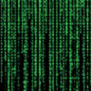 Meet your Posher, Bryan